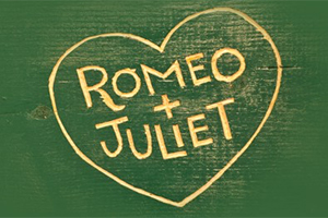В Торонто Ромео и Джульетта стали девушками