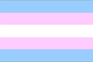 Флаг транссексуалов над Торонто