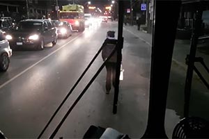 Пассажир блокировал дорогу автобуса ТТС