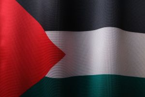 Директор школы извинился за просьбу убрать флаг Палестины