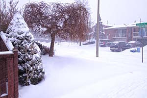 Снегопад в Торонто