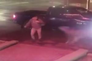 Олень сбил человека на тротуаре - Видео