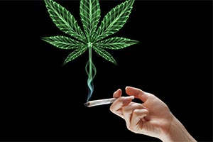 Теперь легализуем марихуану