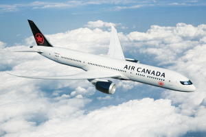 Air Canada должны заплатить франкоговорящей паре $21 тысячу