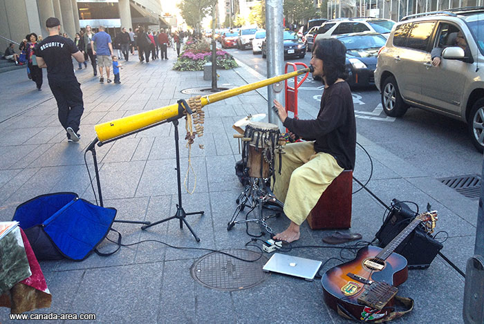 Уличный музыкант в Торонто