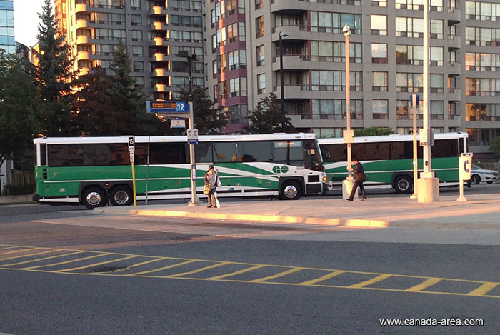 Автобусы в Торонто